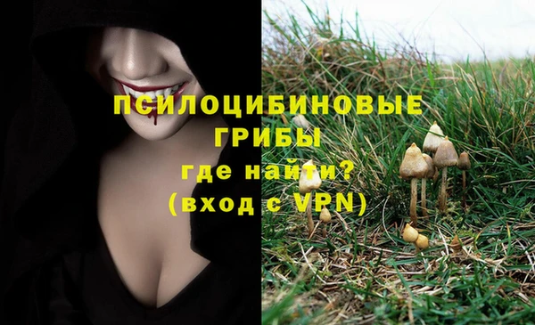 мескалин Новозыбков