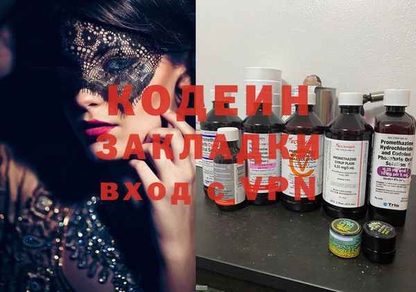 прущие грибы Нягань