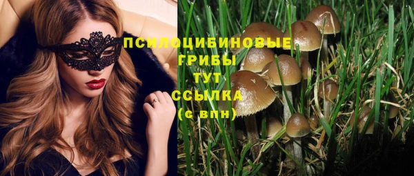 герыч Няндома