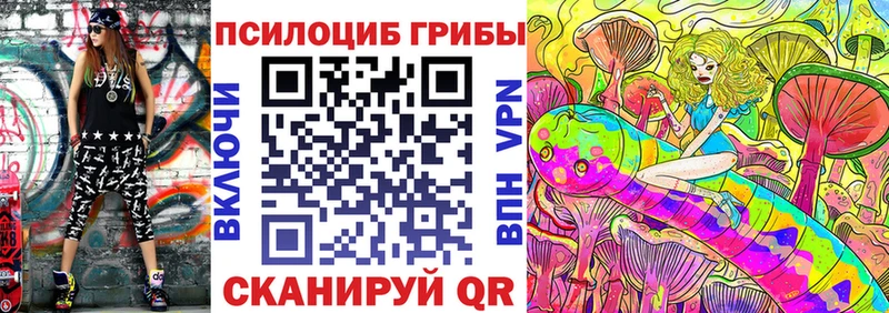 Псилоцибиновые грибы Psilocybe  Собинка 